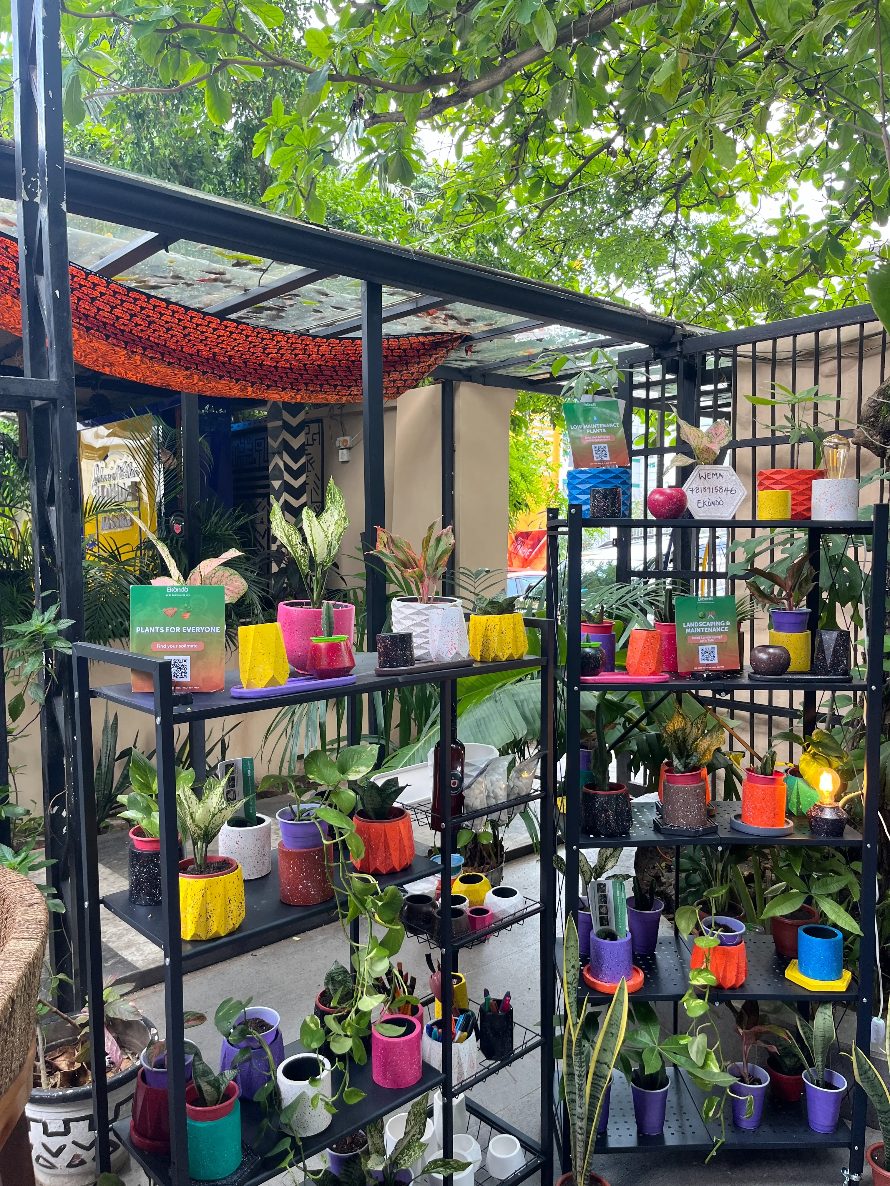 Locale Lagos